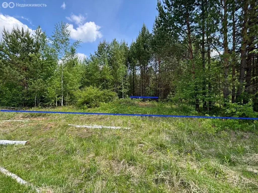 Участок в село Шаманка, Черёмуховая улица, 30 (20 м) - Фото 1