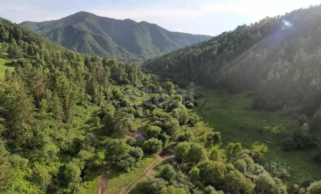 Участок в Алтай, Чемальский район, Элекмонарское с/пос, с. Элекмонар ... - Фото 1
