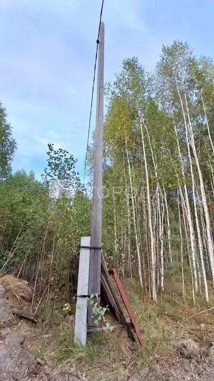Участок в Томская область, Северск городской округ, д. Кижирово ул. ... - Фото 1