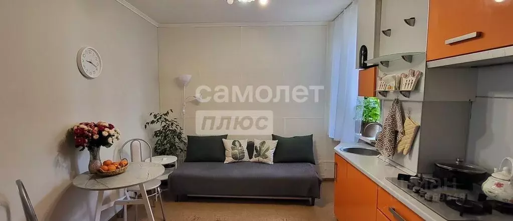 2-к кв. Краснодарский край, Сочи Виноградная ул., 224/5 (39.5 м) - Фото 1