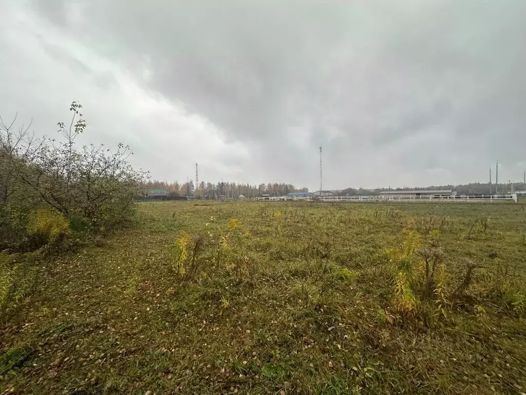 Участок в Московская область, Луховицы муниципальный округ, пос. ... - Фото 1