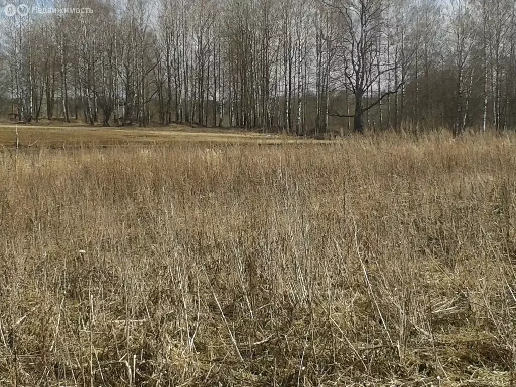 Участок в Волосовский район, Большеврудское сельское поселение, ... - Фото 1