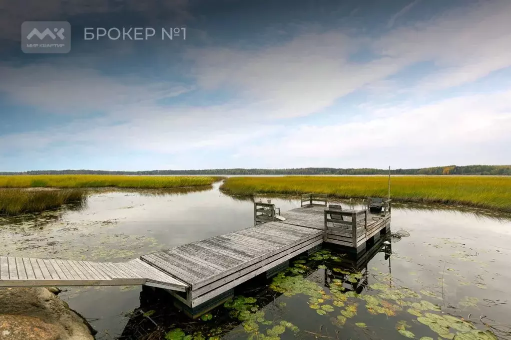 Участок в Ленинградская область, Выборг ул. Прибрежная (17.36 сот.) - Фото 2