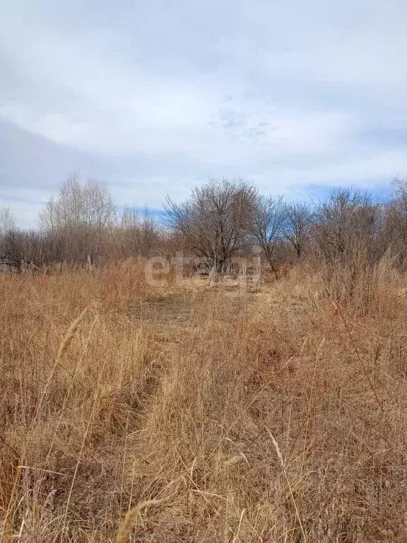 Участок в Амурская область, Благовещенский район, с. Чигири  (30.0 ... - Фото 1