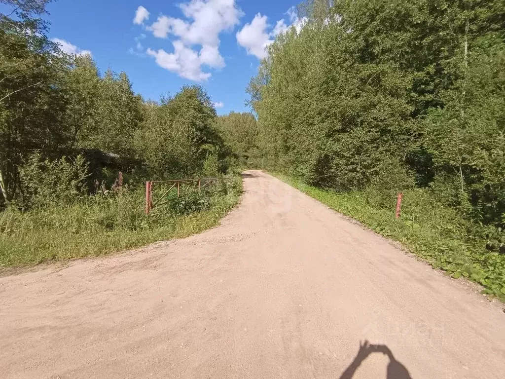Участок в Смоленская область, Гагаринский муниципальный округ, Сетунь ... - Фото 1
