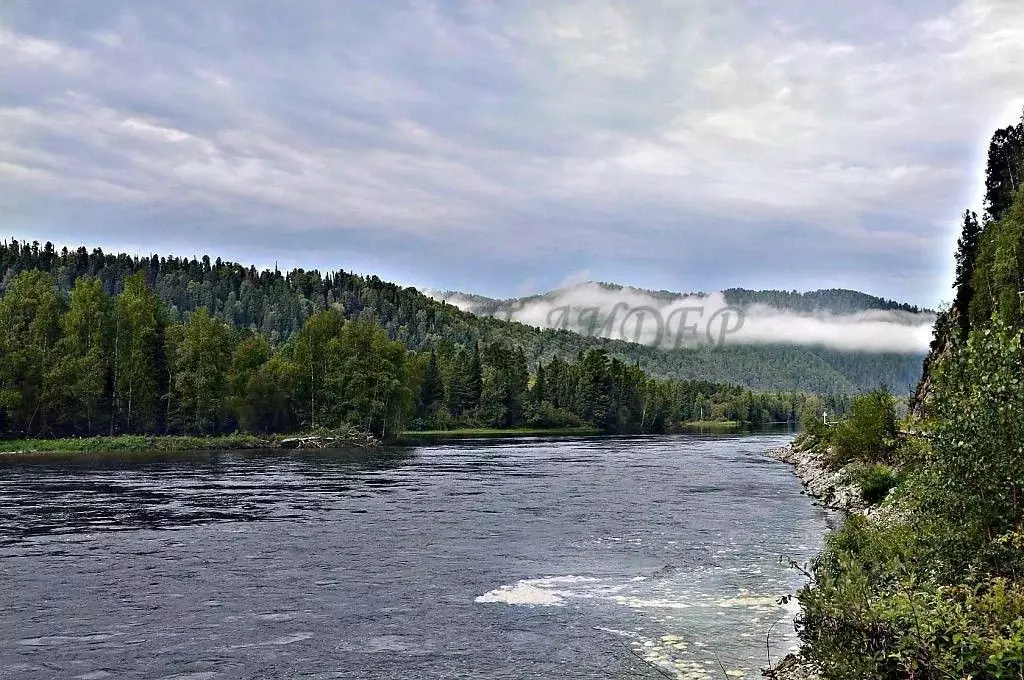 Участок в Алтай, Турочакский район, с. Верх-Бийск Школьная ул. (129.0 ... - Фото 2