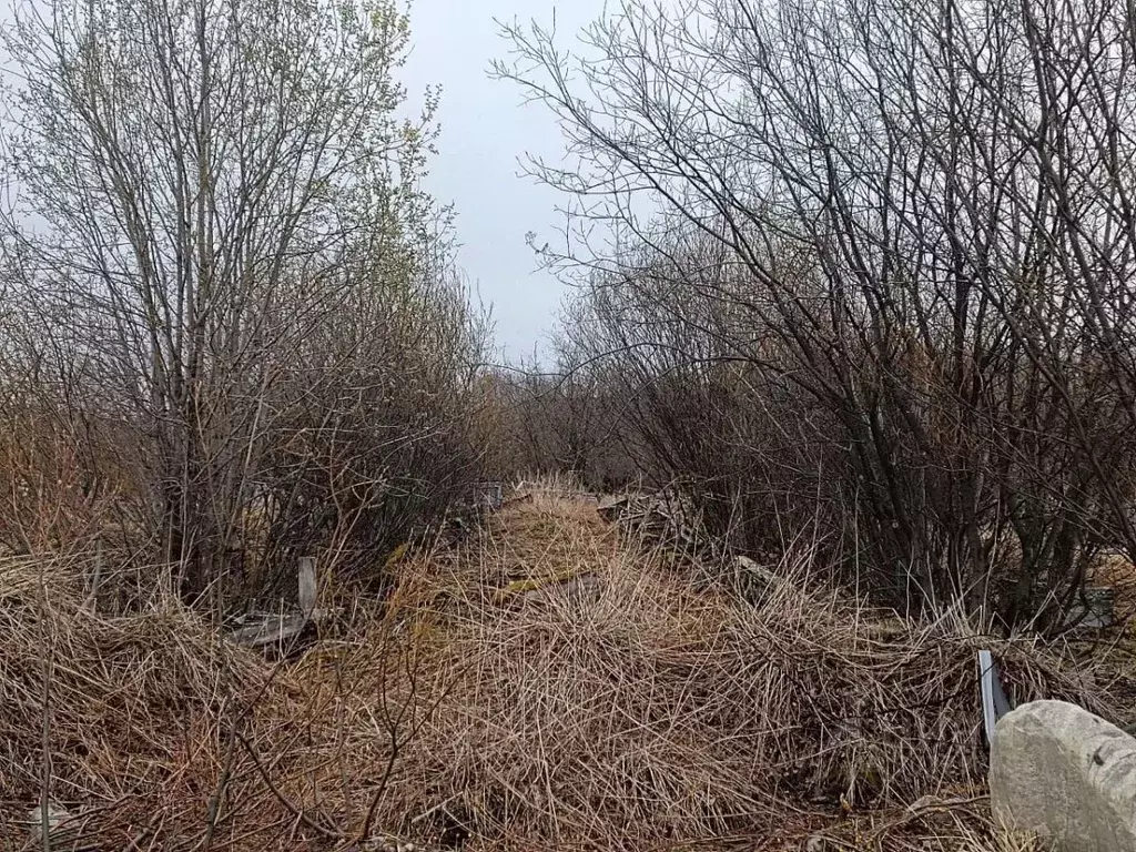 Участок в Мурманская область, Кольский район, Кильдинстрой городское ... - Фото 0