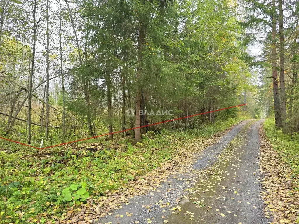 Участок в Карелия, Сортавальский муниципальный округ, пос. Рускеала ... - Фото 1