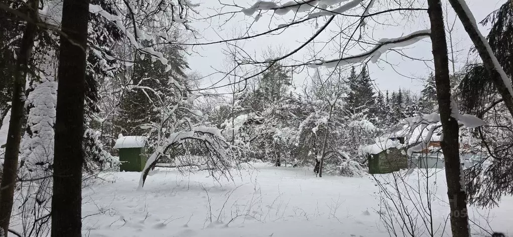 Участок в Московская область, Дмитровский муниципальный округ, ... - Фото 1