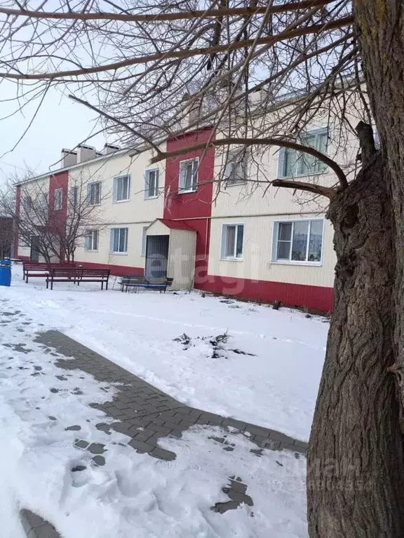 2-к кв. Белгородская область, Вейделевка рп ул. Мира, 69 (45.1 м) - Фото 0