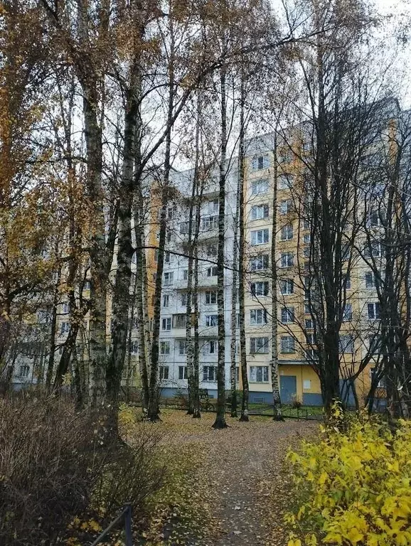 2-к кв. Санкт-Петербург Северный просп., 91К1 (50.0 м) - Фото 2