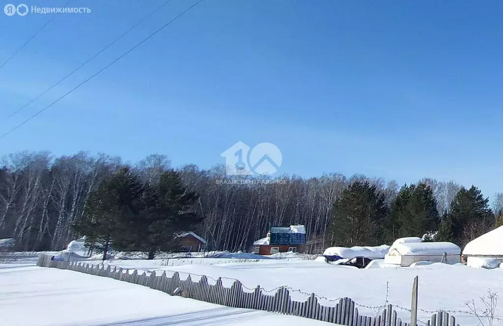 Участок в Тогучинский район, СТ Заринка, Малиновая улица (16 м) - Фото 1