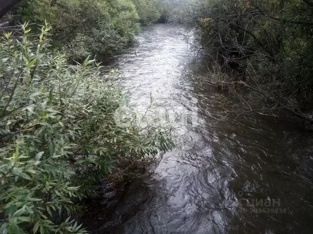 Участок в Красноярский край, Березовский район, Маганский сельсовет, ... - Фото 1