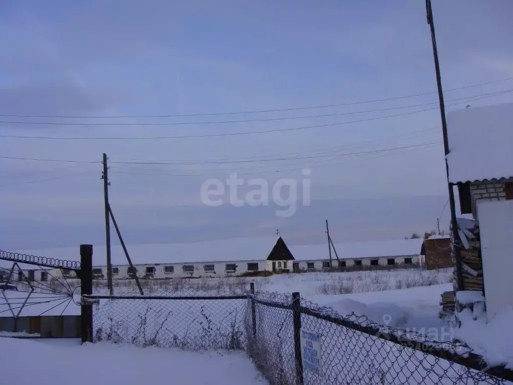 Склад в Курганская область, Шатровский муниципальный округ, д. Ударник ... - Фото 1