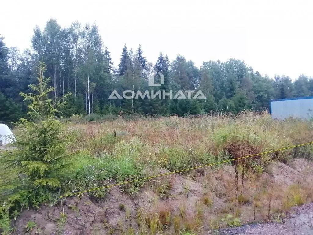 Участок в Ленинградская область, Всеволожский район, Лесколовское ... - Фото 0