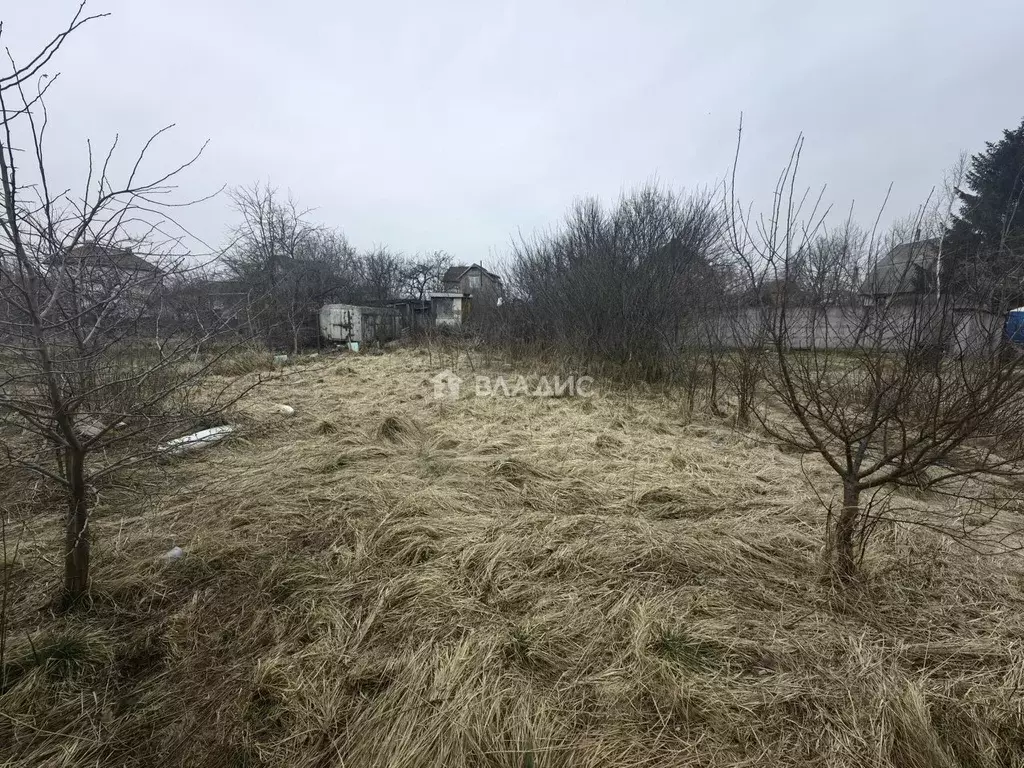 Участок в Калининградская область, Калининград Победа садовое ... - Фото 1