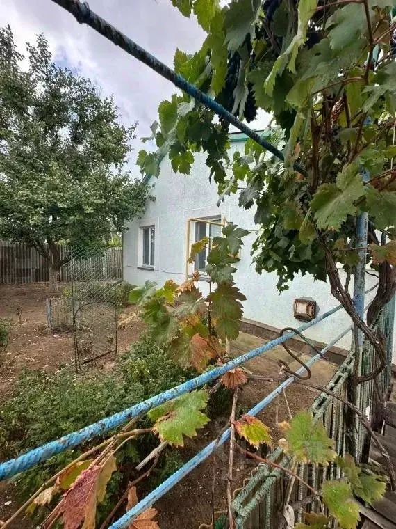 Дом в Крым, Кировский район, с. Владиславовка ул. Гагарина (78 м) - Фото 1