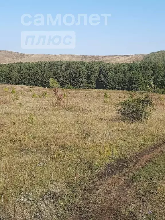 Участок в Башкортостан, Куюргазинский район, с. Ермолаево ул. ... - Фото 1