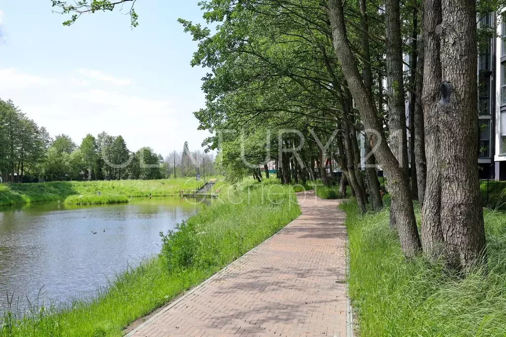 Студия Калининградская область, Пионерский Октябрьская ул., 6Б (30.0 ... - Фото 2