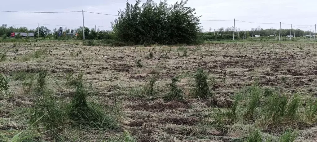 Участок в Ростовская область, Аксайский район, Щепкинское с/пос, пос. ... - Фото 1