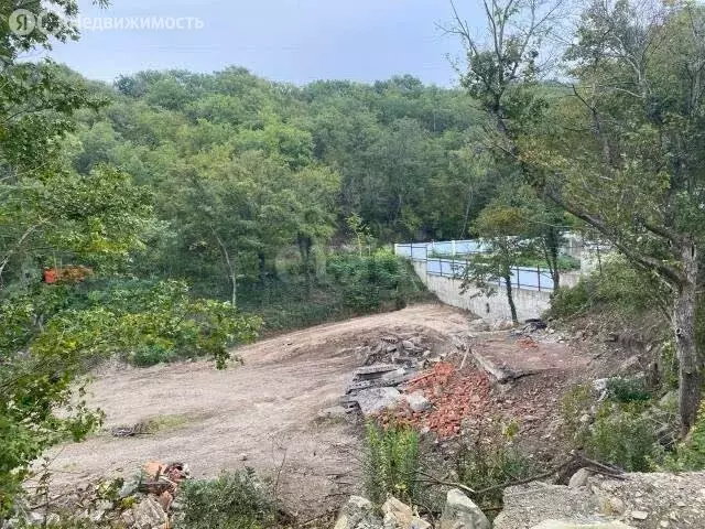 Участок в Новороссийск, улица Лесная Сказка (4 м) - Фото 2