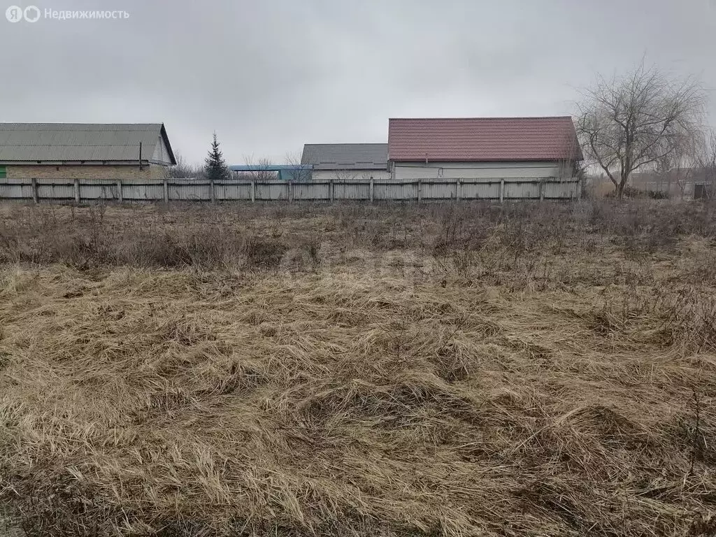 Участок в Новый Оскол, Новосёловская улица (11.5 м) - Фото 2