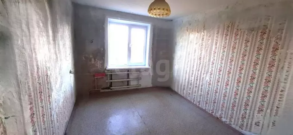 2-к кв. Тверская область, Конаковский муниципальный округ, пос. Озерки ... - Фото 2