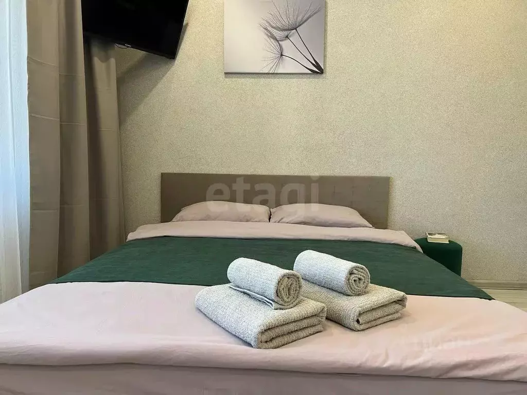 Студия Татарстан, Казань ул. Родины, 26Е (31.0 м) - Фото 1