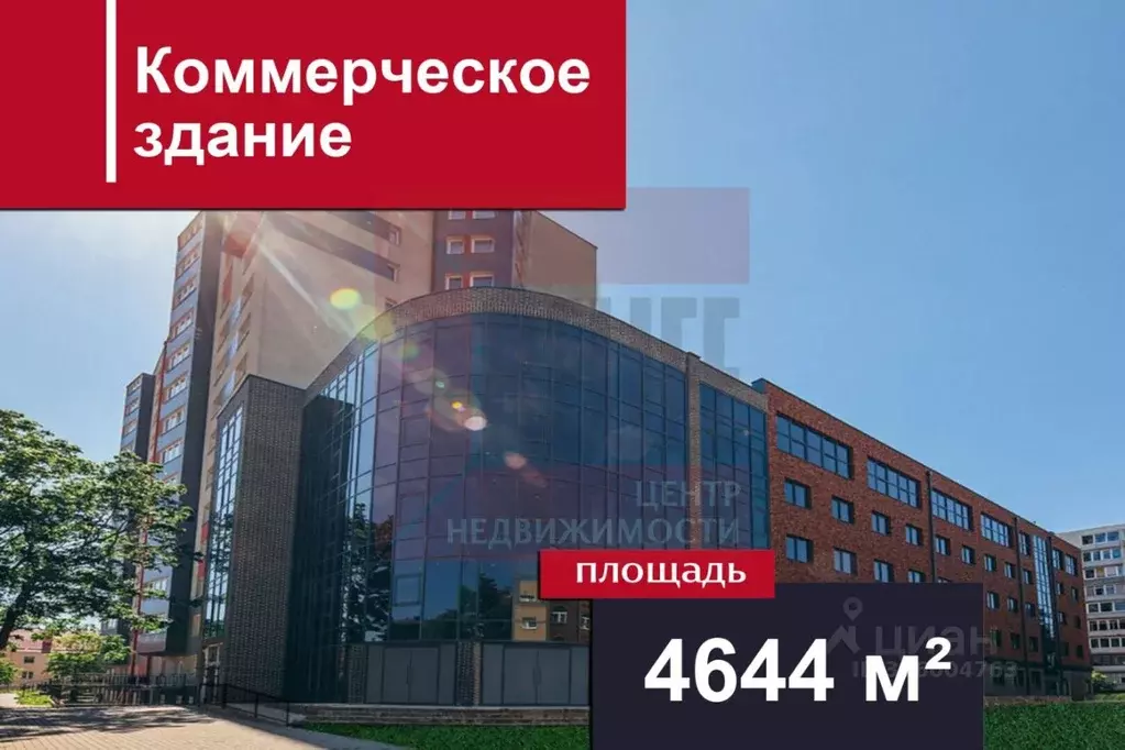 Офис в Калининградская область, Калининград ул. Богдана Хмельницкого, ... - Фото 1