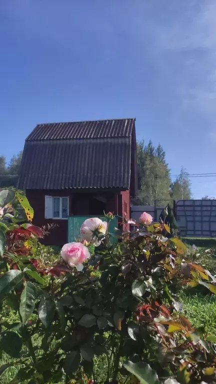 Дом в Московская область, Коломна городской округ, д. Семеновское ул. ... - Фото 1