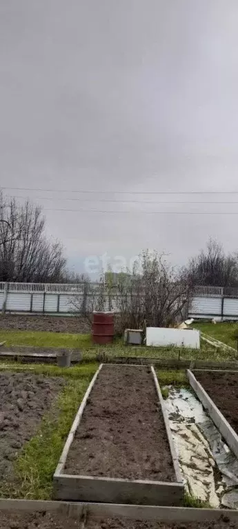Участок в Хабаровский край, Комсомольск-на-Амуре Строитель СНТ, ул. ... - Фото 0