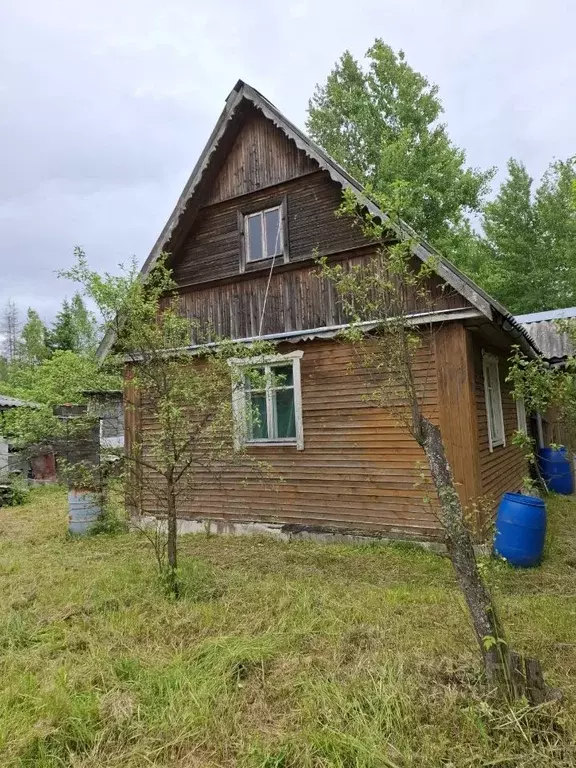 Дом в Ленинградская область, Гатчинский район, Новинка садоводческий ... - Фото 1