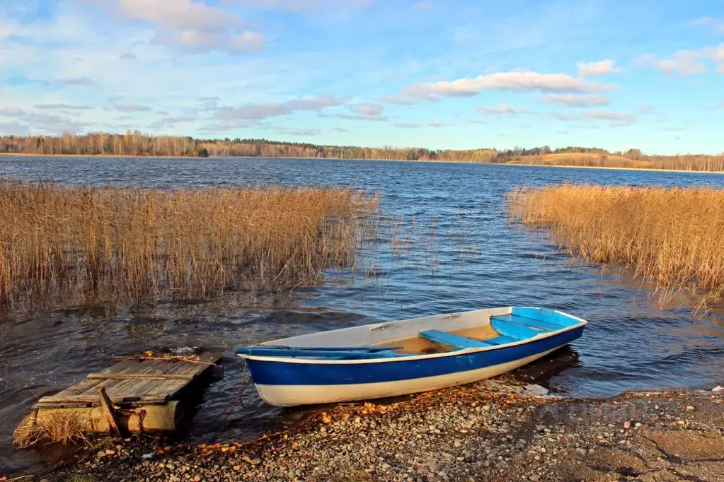 Участок в Карелия, Лахденпохский муниципальный округ, пос. Райвио  ... - Фото 2