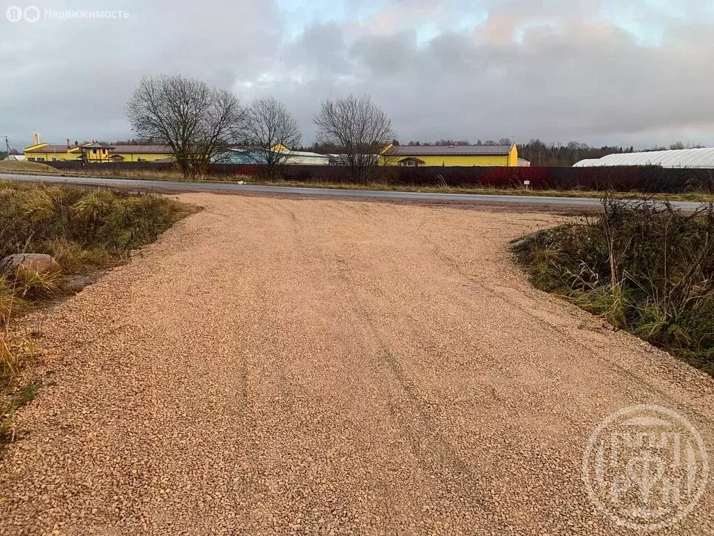 Участок в Лопухинское сельское поселение, деревня Заостровье (10 м) - Фото 1