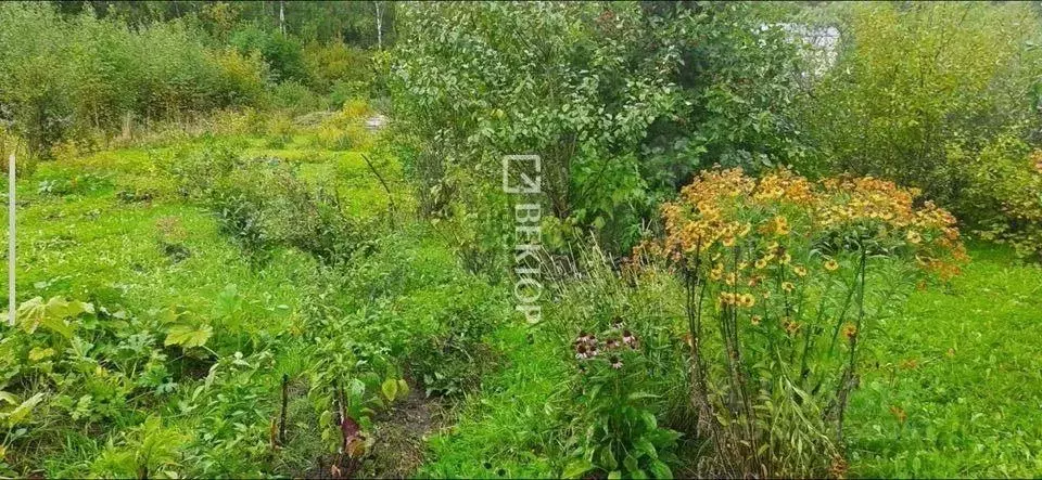 Участок в Ивановская область, Ивановский муниципальный округ, ... - Фото 2