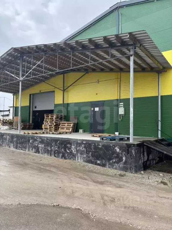 Помещение свободного назначения в Псковская область, Псков ул. Леона ... - Фото 2