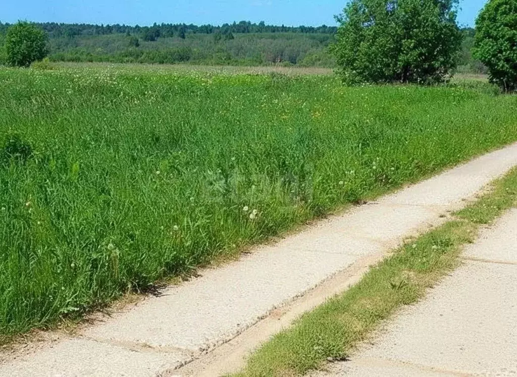 Участок в Вологодская область, Череповецкий район, д. Юги  (149.0 ... - Фото 1