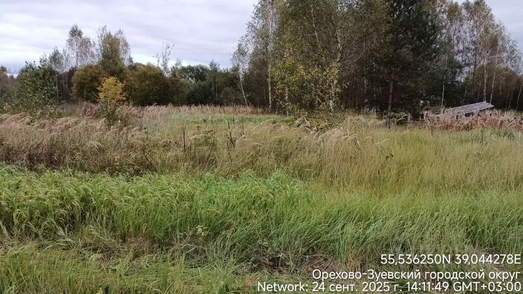 Участок в Московская область, Орехово-Зуевский городской округ, д. ... - Фото 0