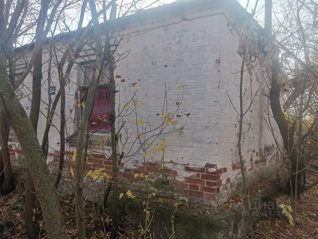 Участок в Липецкая область, Хлевенский район, с. Новое Дубовое ул. ... - Фото 1