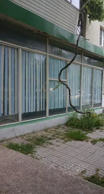 Помещение свободного назначения в Краснодарский край, Новороссийск ул. ... - Фото 0