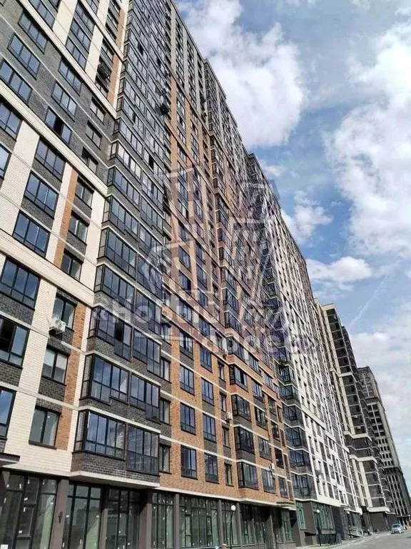 Студия Воронежская область, Воронеж ул. Независимости, 78к1 (23.6 м) - Фото 0