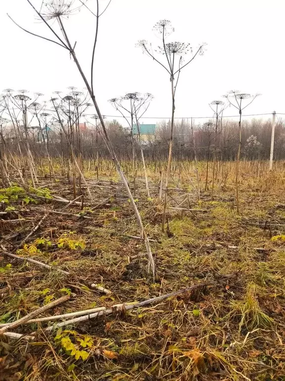 Участок в Выльгорт, Дальняя улица (8.67 м) - Фото 1