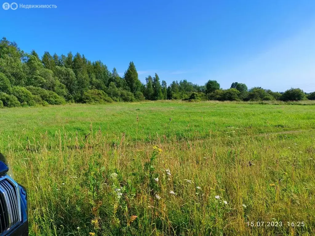 Участок в Выборгский район, Приморское городское поселение, посёлок ... - Фото 1