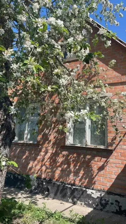 Дом в Ростовская область, Багаевское с/пос, пос. Дачный ул. ... - Фото 1
