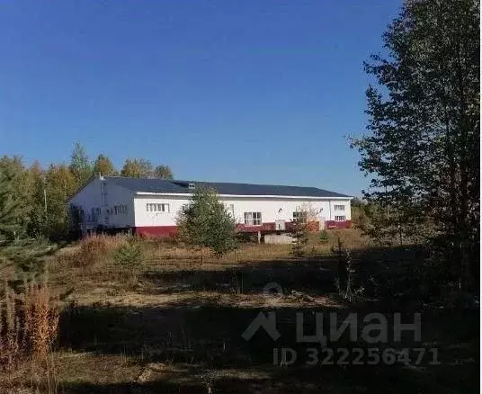 Помещение свободного назначения в Коми, Сосногорск муниципальный ... - Фото 2