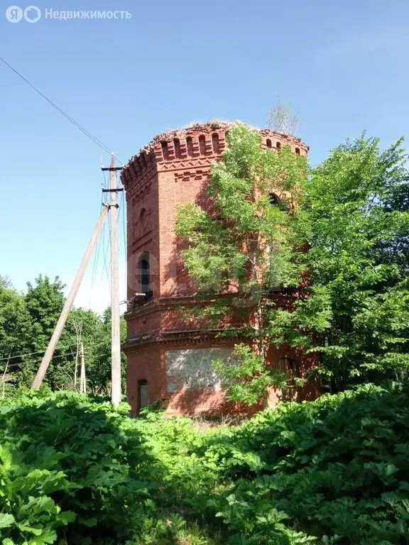Участок в Ям-Тёсовское сельское поселение, деревня Надбелье, Новая ... - Фото 2