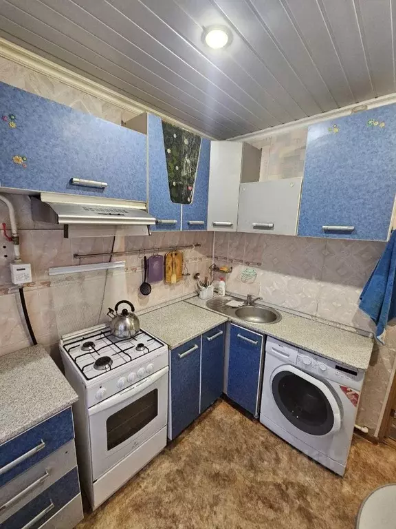 2-к кв. Омская область, Омск Учебная ул., 185 (32.0 м) - Фото 1