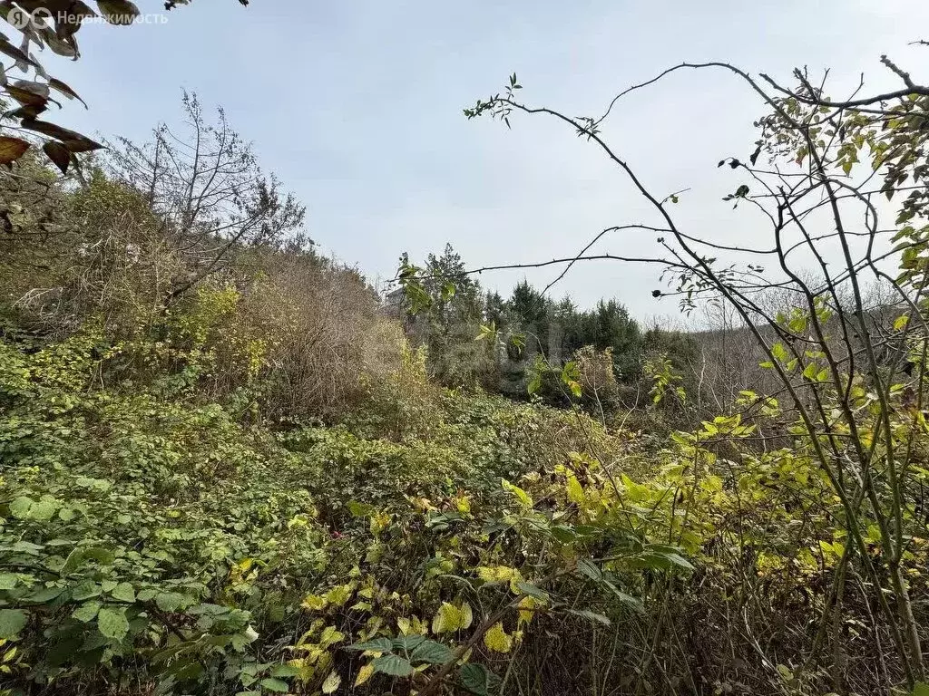 Участок в Мысхако, ТСН Прибой, Неподъёмная улица (14.4 м) - Фото 2