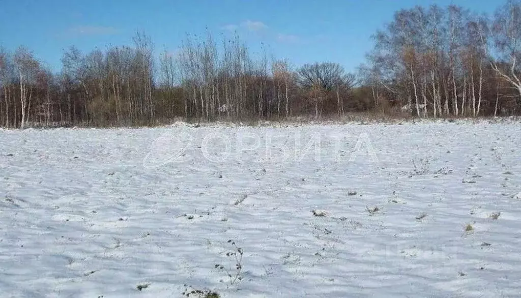 Участок в Тюменская область, Тюменский район, д. Криводанова  (10.0 ... - Фото 0