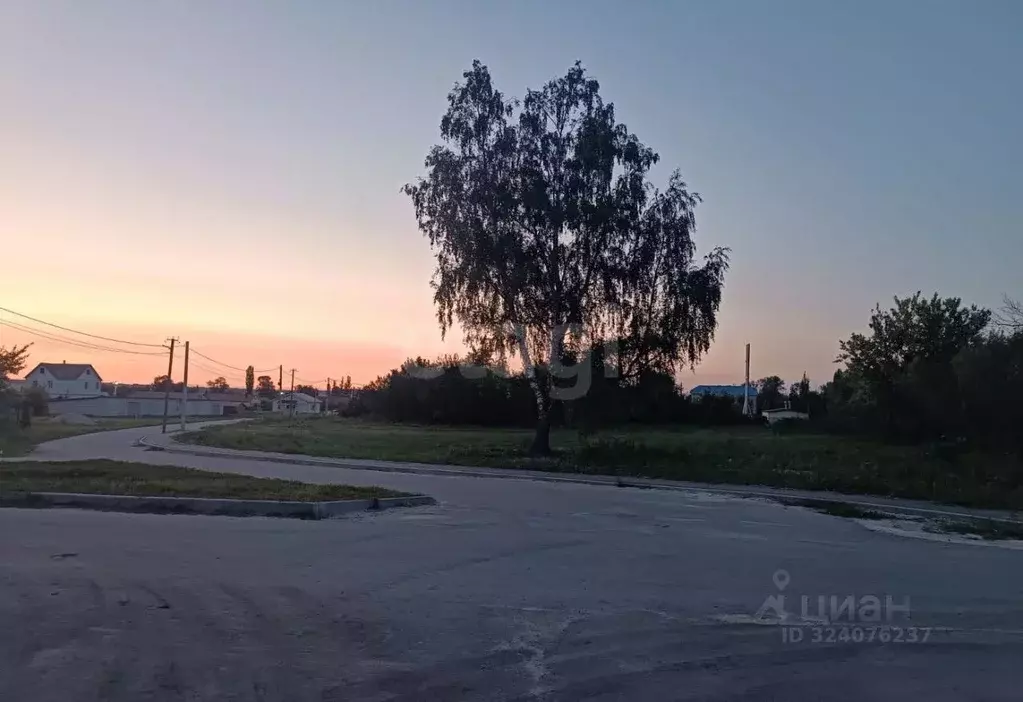 Участок в Воронежская область, Рамонский район, Горожанское с/пос, д. ... - Фото 2